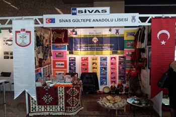 81 İl, 81 Proje-Ulusal Ajans’ın 10. Yılı Programı 